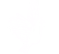 La Colombe